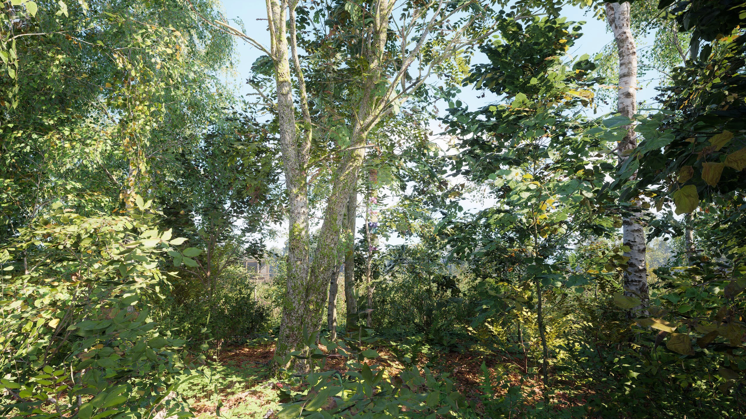 Изображение 10