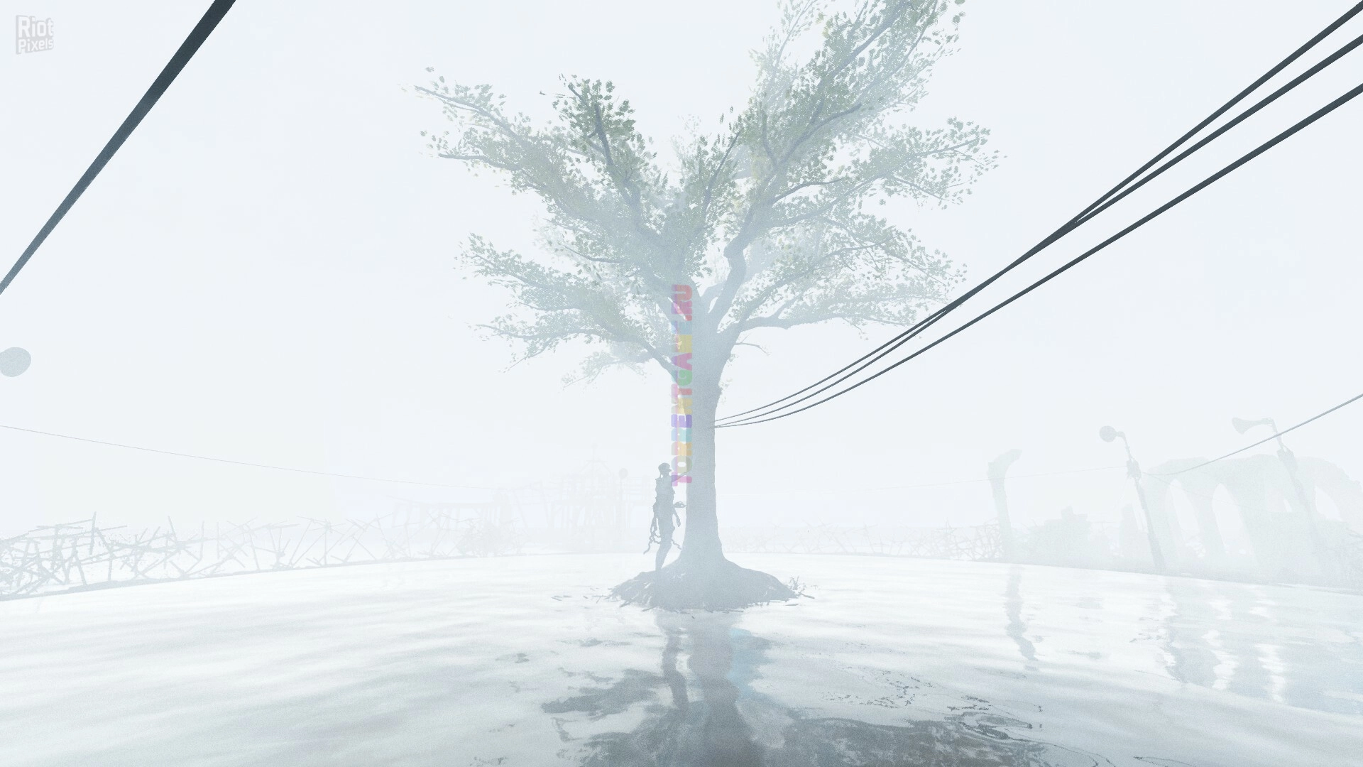 Изображение 9