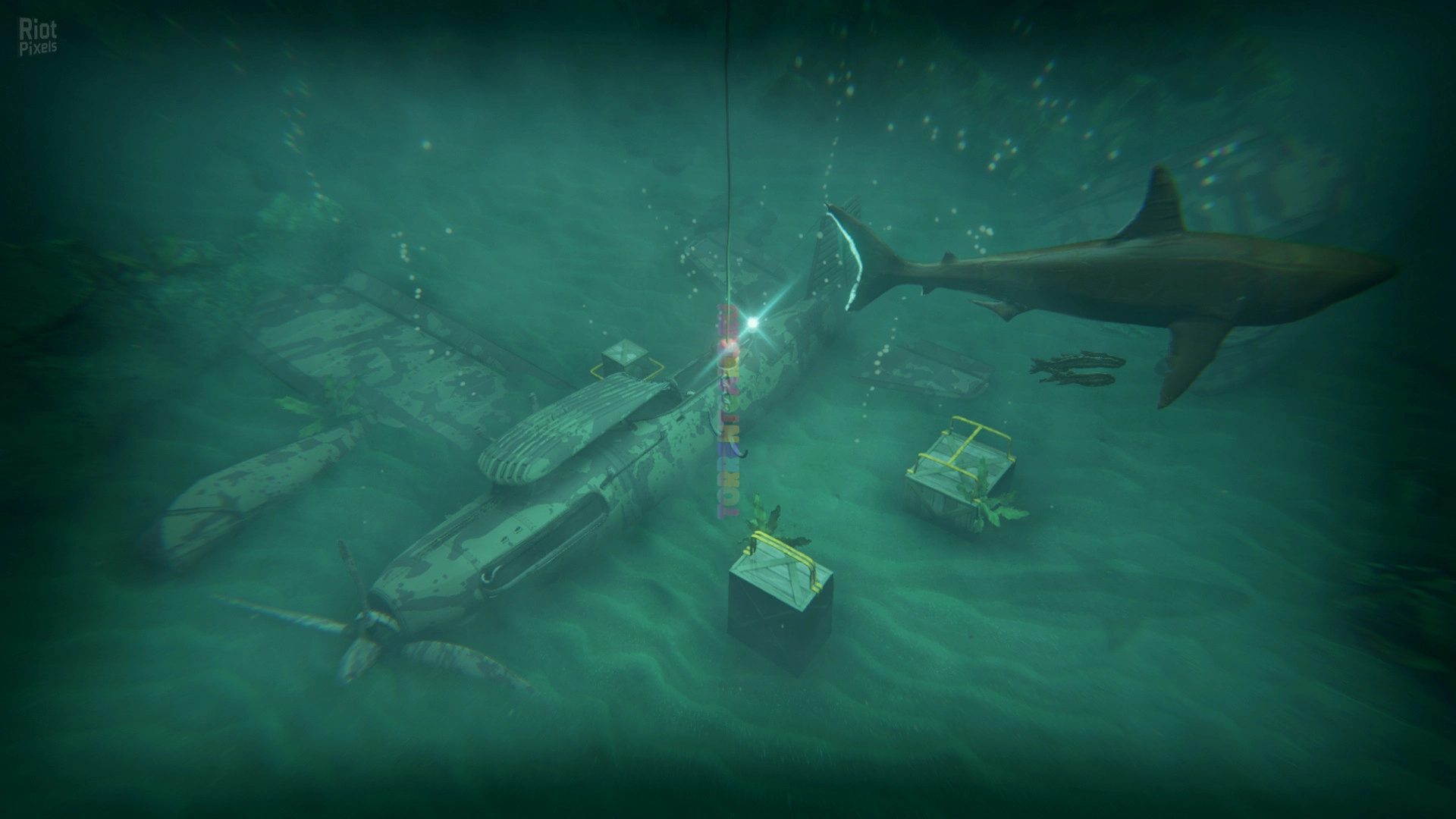 Изображение 4