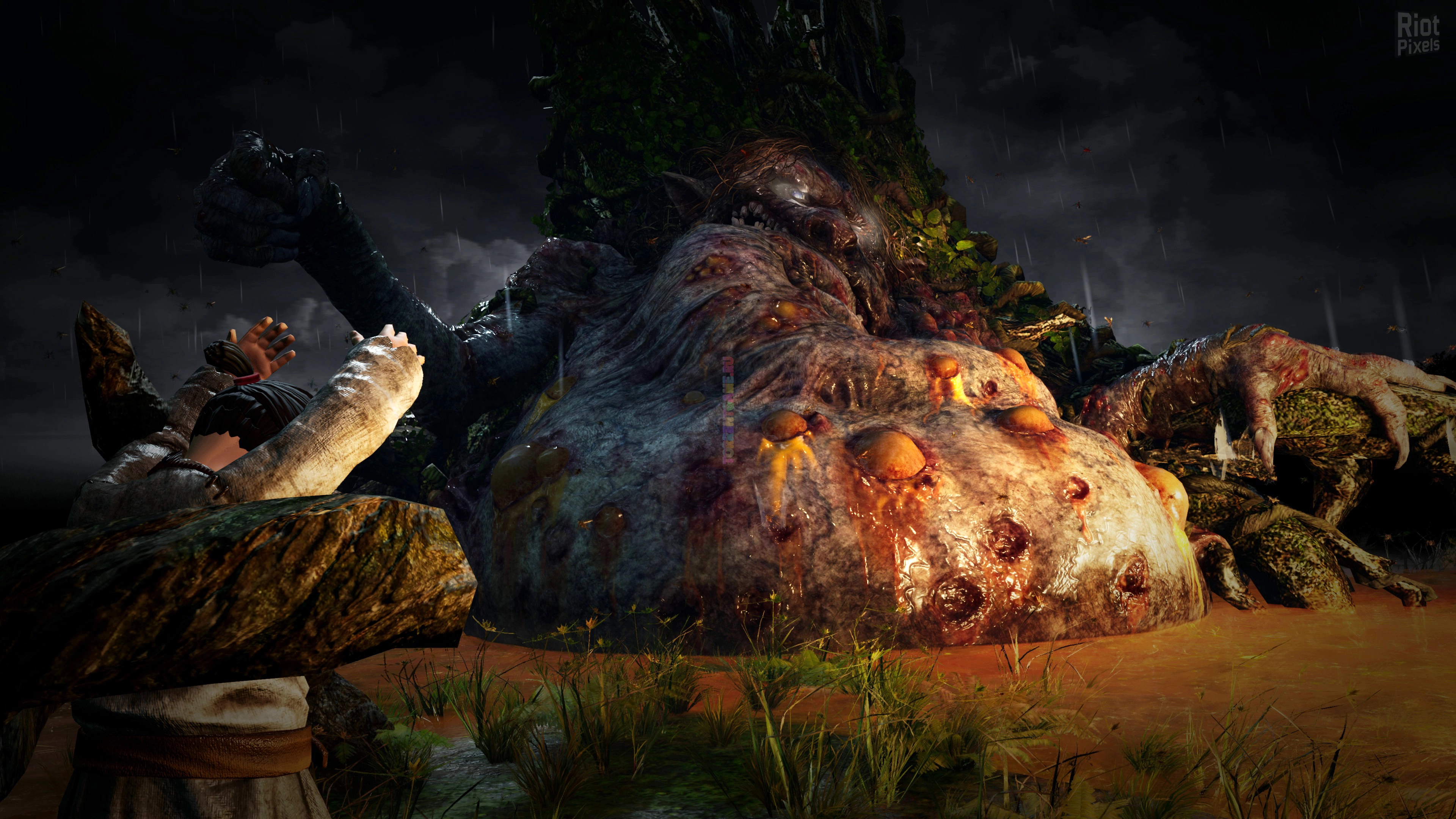 Изображение 2