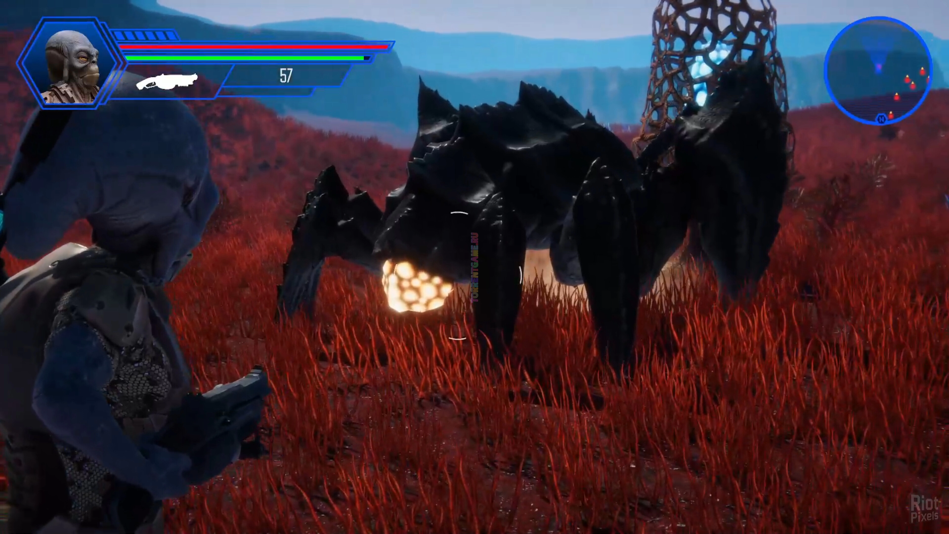 Изображение 5