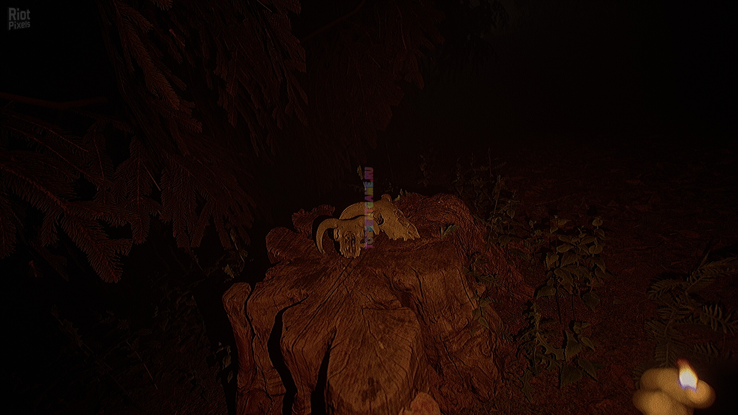 Изображение 4