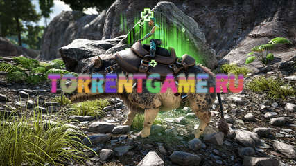 Изображение 3