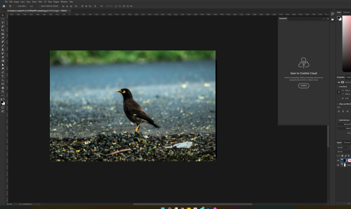  Adobe Photoshop 2022 23.5.0.669 