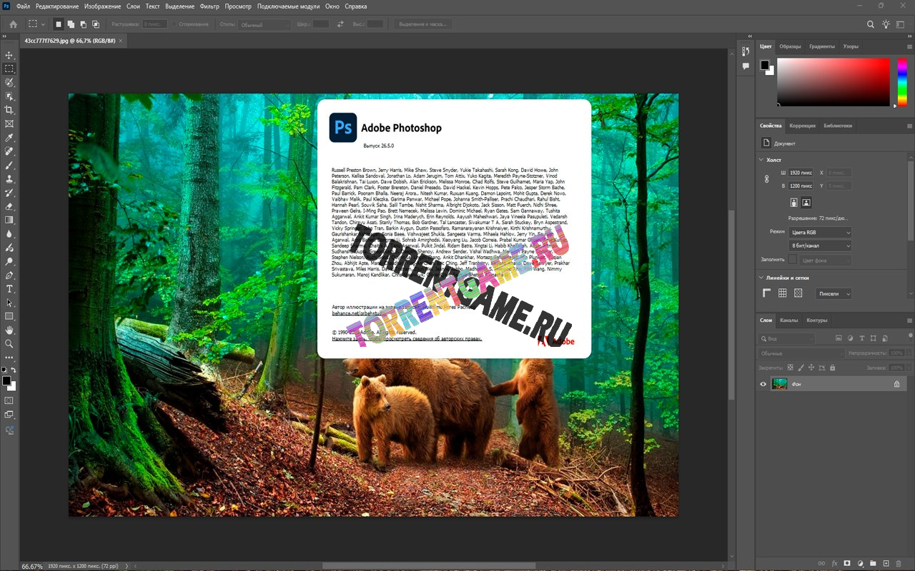 Изображение 1