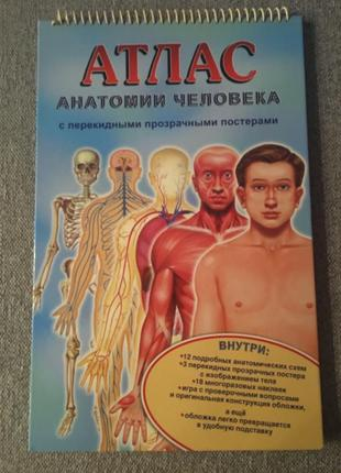  Интерактивная анатомия человека [2003] 