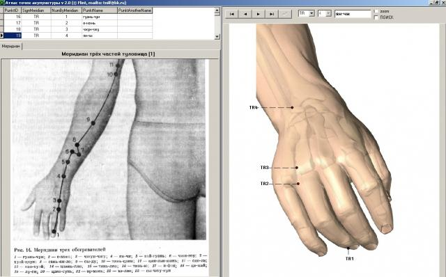  Reflex 2.0 (Электронный атлас точек акупунктуры) 