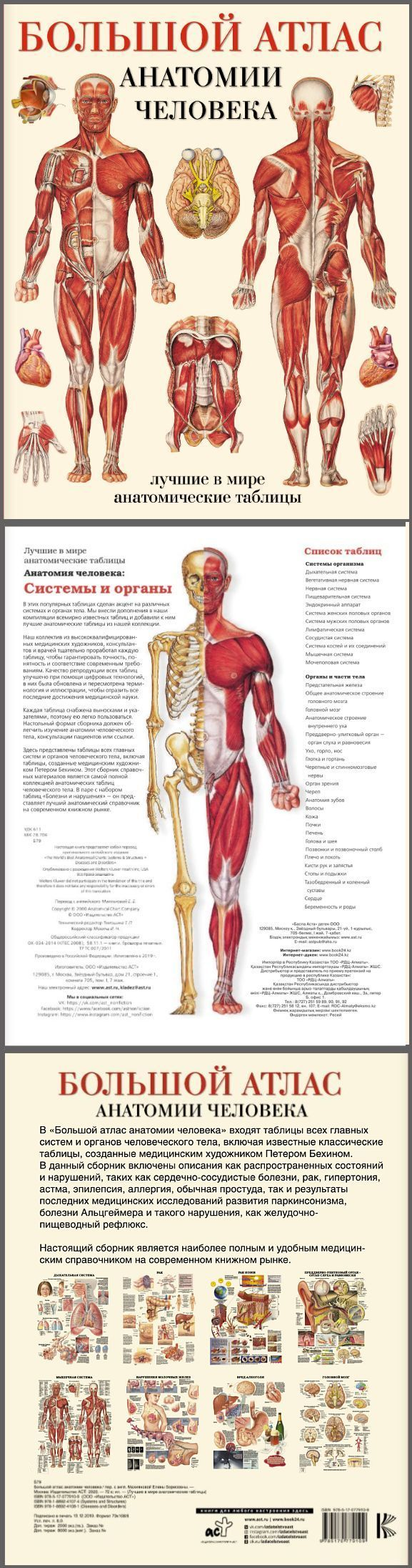  Анатомический атлас — программа (iso-образ) [2000] 