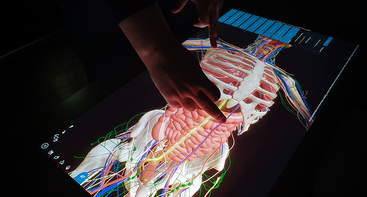  Электронный анатомический атлас [Медицина/Анатомия] 
