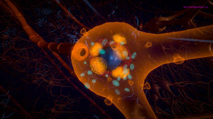 Изображение 4