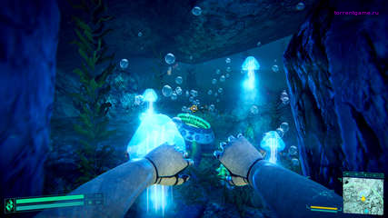 Изображение 6