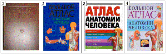  Атлас тела человека [2007, RUS] 