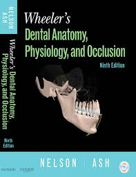  Wheeler's Dental Anatomy, Physiology and Occlusion CD 
