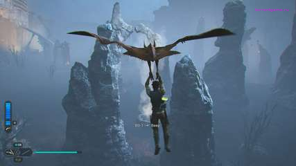 Изображение 5