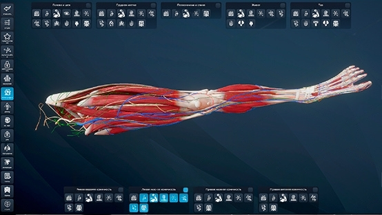  Атлас по анатомии Primal 3D [2003] 